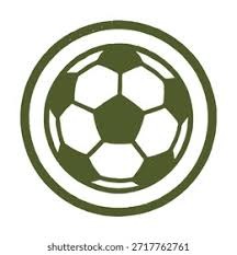 西雅图水手在 2022 年凭借卡利（Cal Raleigh）的再见轰终结 21 年季后赛荒，水手球场泪如雨下